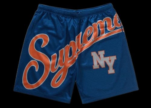 Supreme Big Script Mesh Short Blue