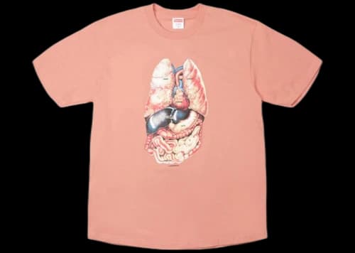 Supreme Guts Tee Terra Cotta
