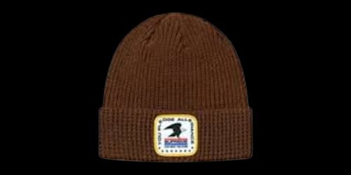 Supreme Pledge Allegiance Beanie Brown