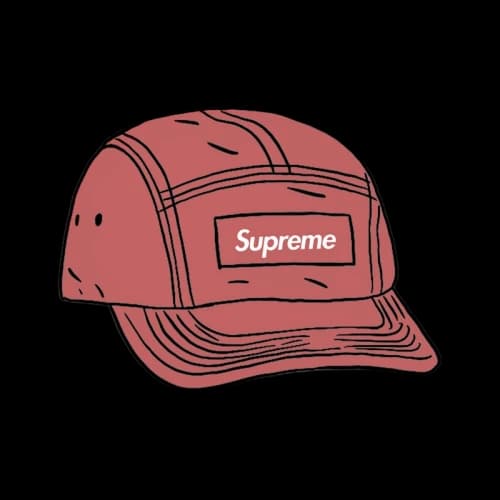 Supreme Spray Canvas Camp Cap Pink