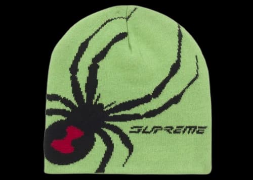 Supreme Spyder Beanie Green