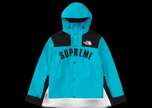 Supreme The North Face Arc Logo Mountain Parka Teal