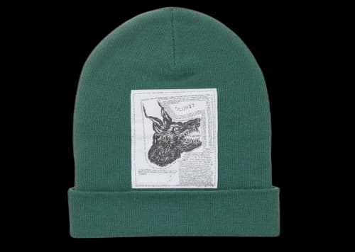 Supreme The North Face Beanie (FW24) Green