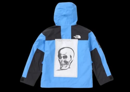 Supreme The North Face Mountain Jacket Blue