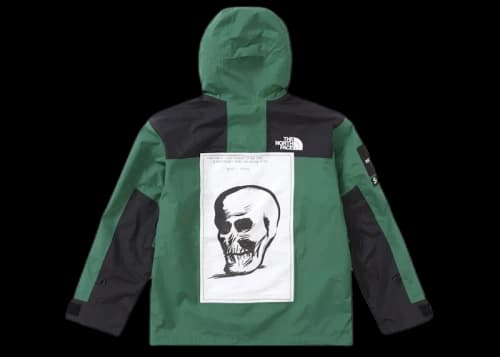 Supreme The North Face Mountain Jacket Green