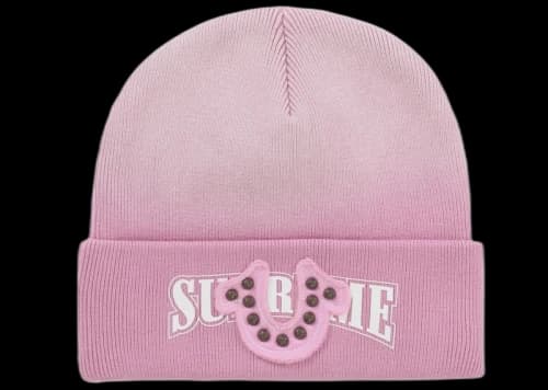 Supreme True Religion Beanie (FW25) Pink