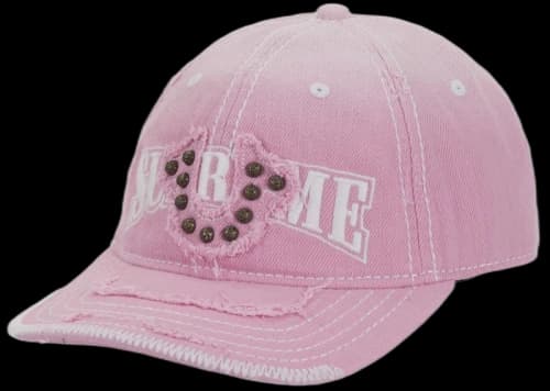 Supreme True Religion Mesh Back 6-Panel Pink