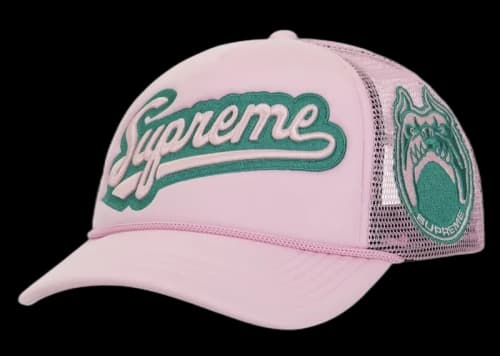 Supreme University Mesh Back 5-Panel Pink