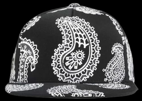 The Hundreds x Vides Paisley Snapback Black