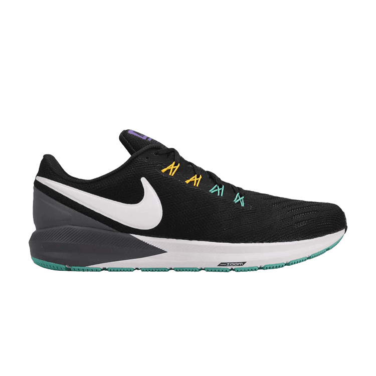Nike Air Zoom Structure 22 Dark Grey