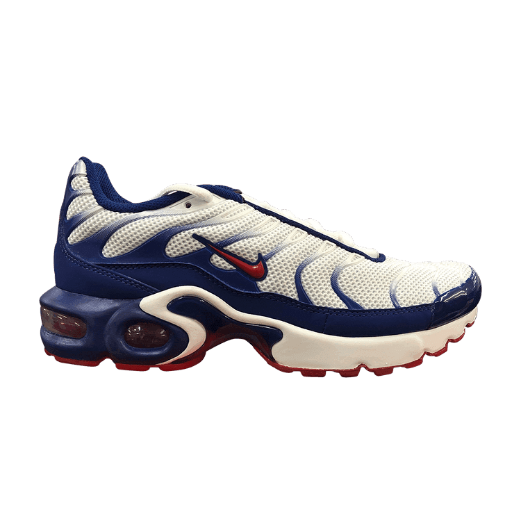 (GS) Nike Air Max Plus 'USA'
