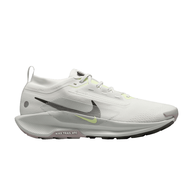 Nike Pegasus Trail 5 Gore-Tex Summit White Light Silver College Grey Sequoia