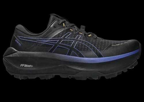 ASICS Fujisetsu Max Gore-Tex Black Dark Cobalt