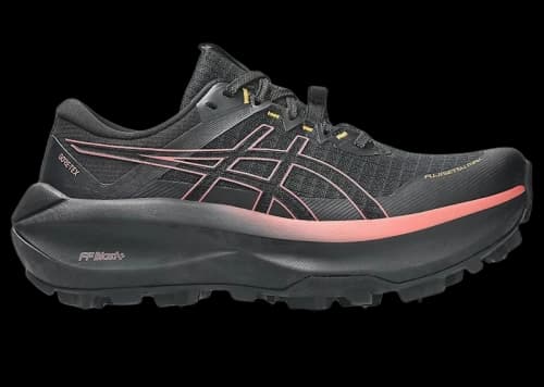 ASICS Fujisetsu Max Gore-Tex Black Dark Pink Clay (Women's)
