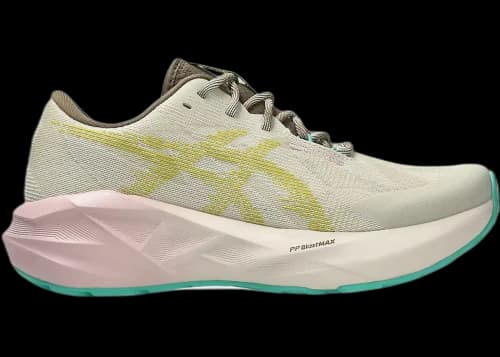 ASICS Novablast 5 TR Light Dust Cacti (Women's)