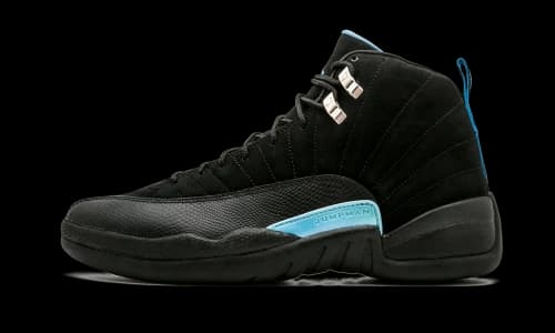 Jordan 12 Retro Nubuck (2009)
