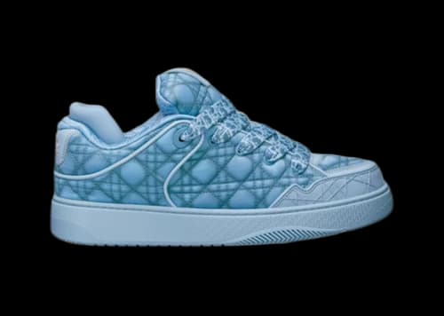 Dior B9S Skater ERL Blue Kumo Cannage Satin