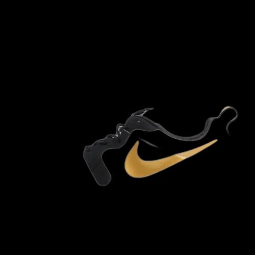 Nike Roshe Run Gold Trophy