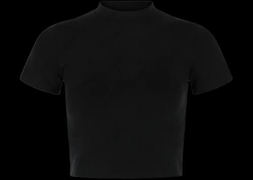 Balenciaga Mock-neck Cropped Top