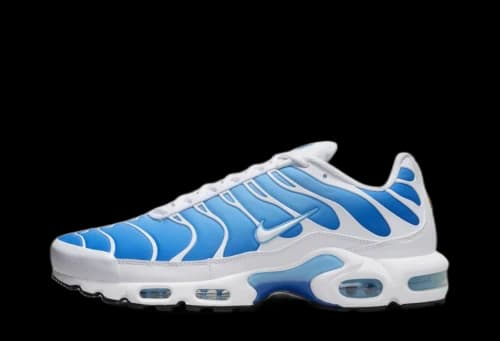 Nike Air Max Plus Sky Blue
