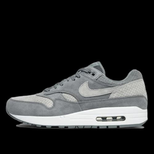 Nike Air Max 1 Cool Grey Wolf Grey