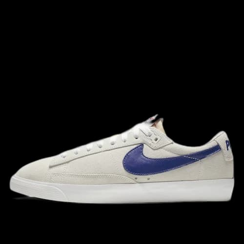 Nike SB Blazer Low Polar Skate Co
