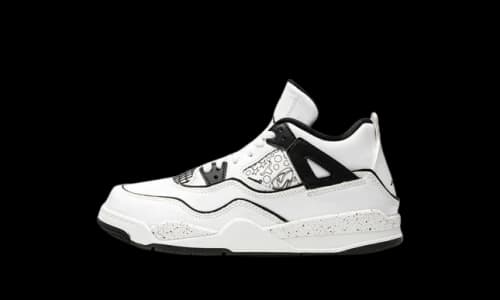 Jordan 4 Retro SE DIY (PS)