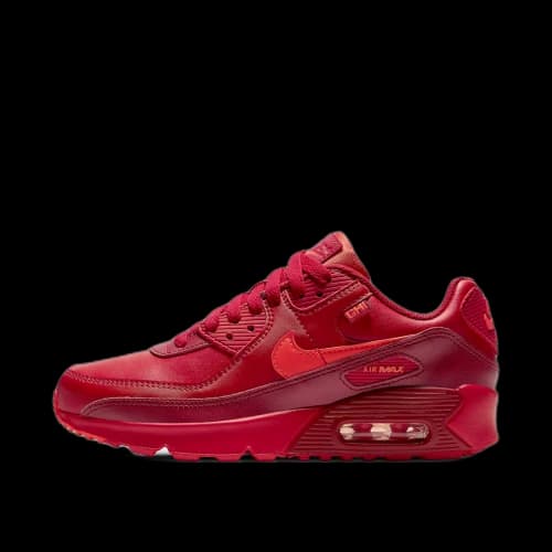 Nike Air Max 90 City Special Chicago (GS)