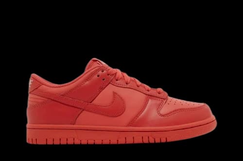 Nike Dunk Low Track Red (GS)