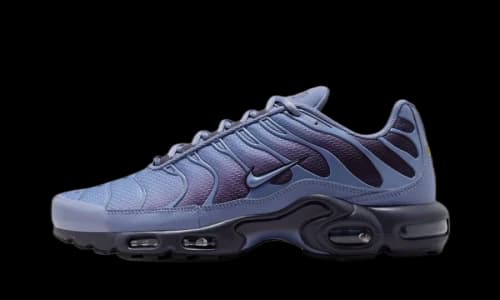 Nike Air Max Plus World Indigo