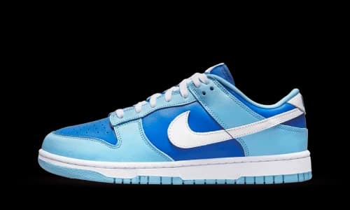 Nike Dunk Low Retro QS Argon (2022)