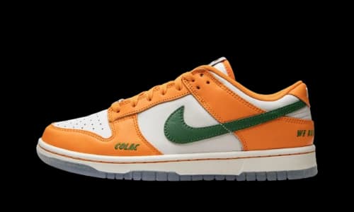 Nike Dunk Low FAMU