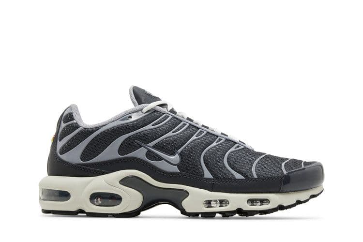 Nike Air Max Plus Greyscale Cool Grey