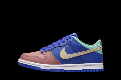 Nike Dunk Low Salmon Toe (GS)