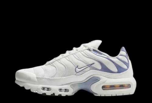 Nike Air Max Plus Ashen Slate (Women's)