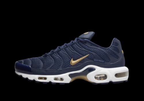 Nike Air Max Plus FFF