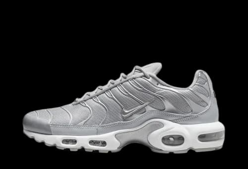 Nike Air Max Plus Metallic Silver