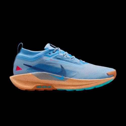 Nike Pegasus Trail 5 Gore-Tex Blue Beyond Copper Moon Monarch Blue Void