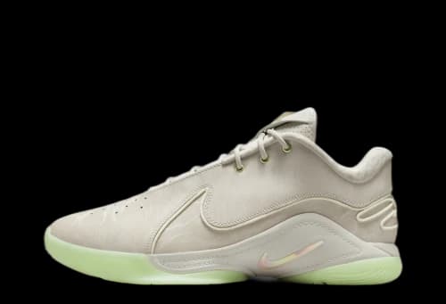 Nike LeBron 22 Dunkman