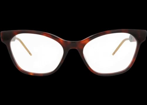 Gucci Cat Eye-Frame Acetate Optical Frames Havana Havana Transparent (GG0600O-30008107-002)