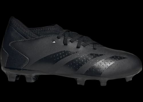 adidas Predator Accuracy.3 FG Core Black Cloud White (GS)