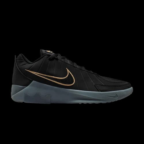 Nike LeBron Witness 9 Black Dark Smoke Grey (Translucent Outsole)