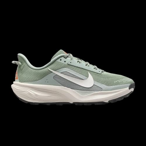 Nike ACG Pegasus Trail Jade Horizon Light Silver (Women's)
