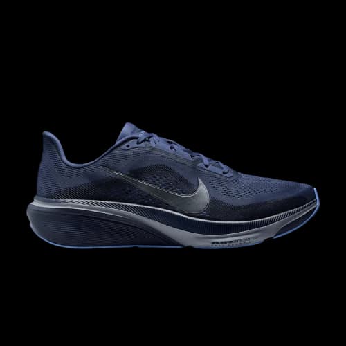 Nike Pegasus 42 'Diffused Blue'