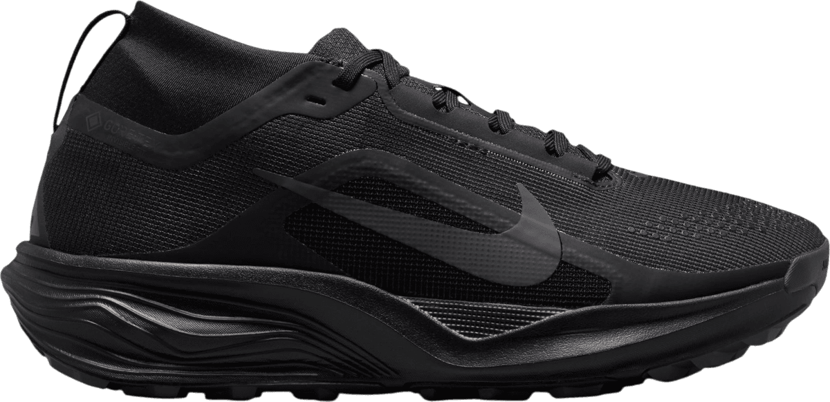 Nike Acg Pegasus Trail GORE-TEX Waterproof Trail 'Black Summit White Anthracite' (Women's)