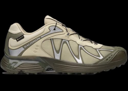 Salomon XT-Whisper Gore-Tex Aspargus Green Deep Lichen Green Grape Leaf