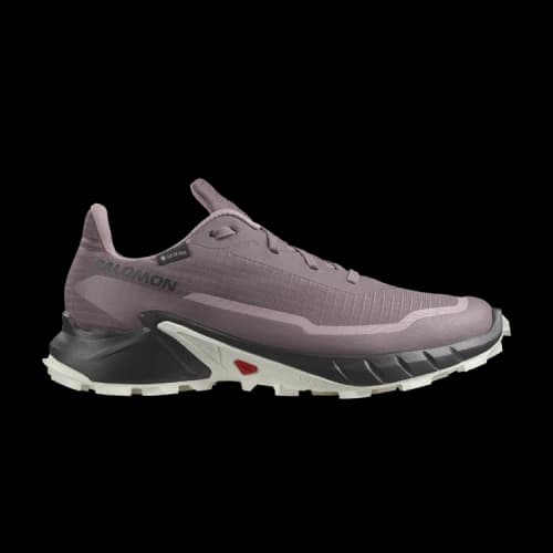 Salomon Alphacross 5 GORE-TEX 'Moonscape' (Women's)