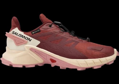 Salomon Supercross 4 Gore-Tex Cow Hide Syrah Blush (Women's)