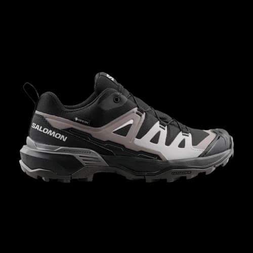 Salomon X Ultra 360 GORE-TEX 'Black Plum Shale'