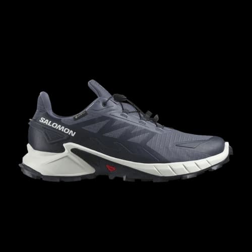 Salomon Supercross 4 GORE-TEX 'Grisaille Carbon'